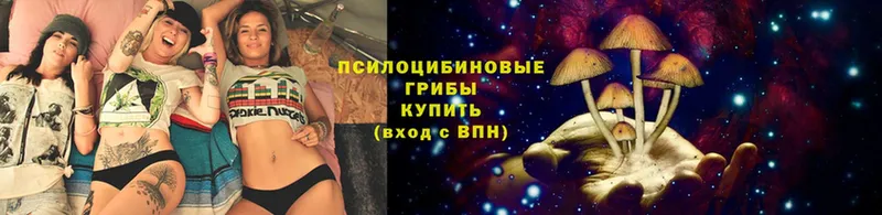 Псилоцибиновые грибы GOLDEN TEACHER  сколько стоит  Кудрово 